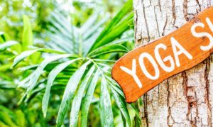 un panneau inscrit yoga sur un arbre dans un forêt