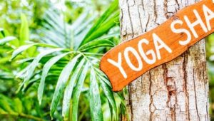 yoga inscrit sur panneau en bois