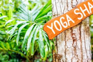 panneau yoga sur un tronc d'arbre